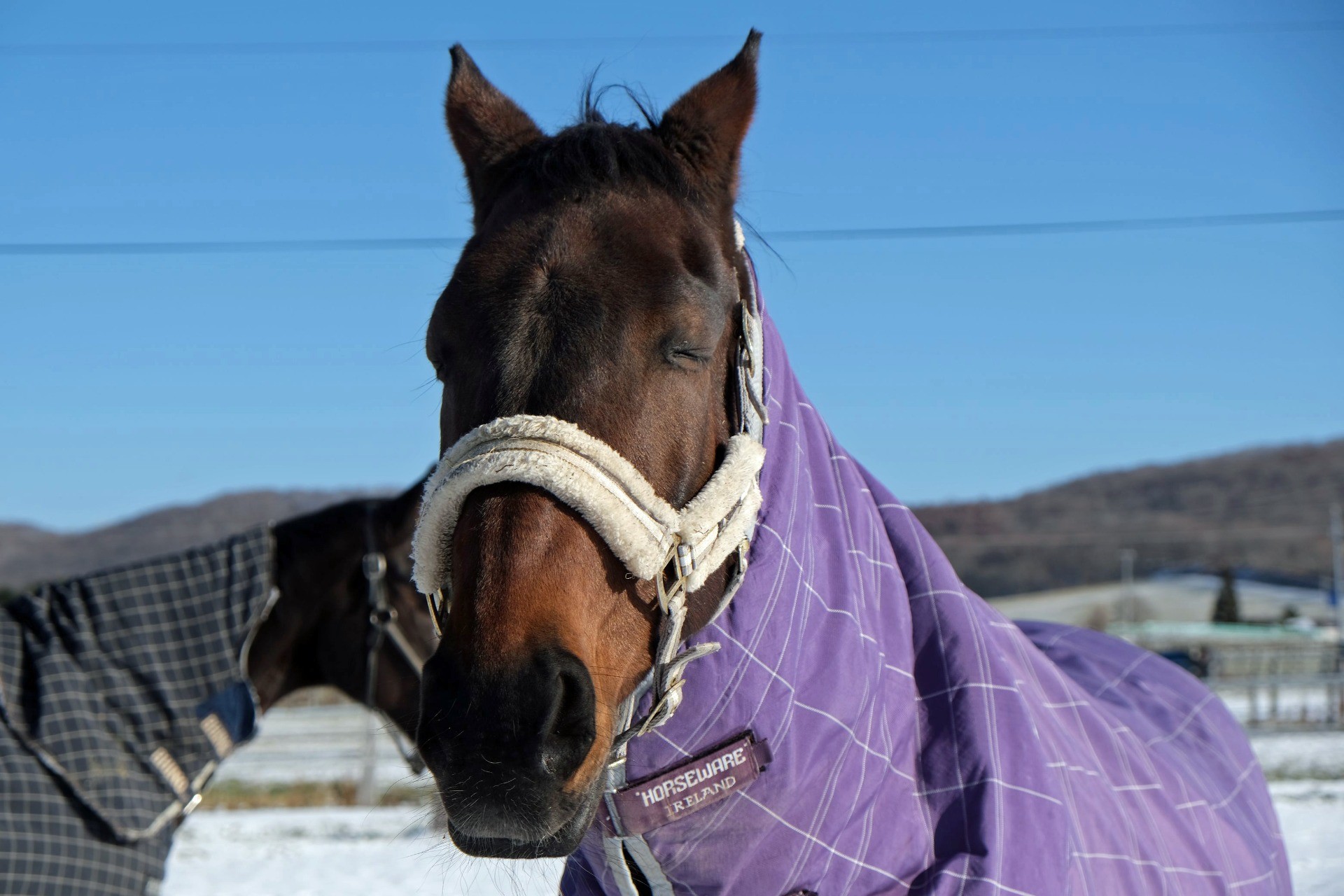 edf1740294b6ce27b8132bc082931095-1760934777.jpg edf1740294b6ce27b8132bc082931095-1760934777.jpg